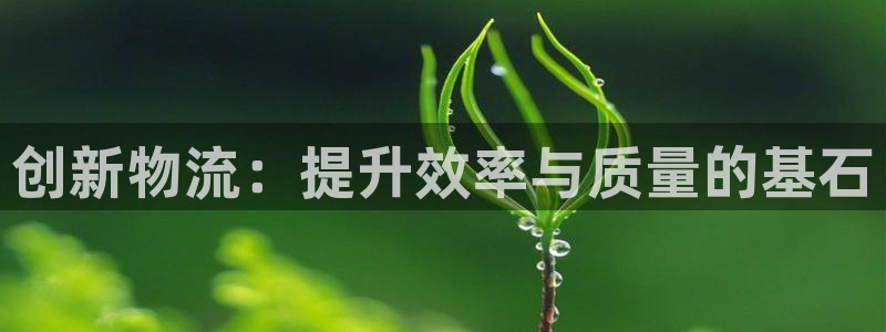 ,优游国际为什么打不开：创新物流：提