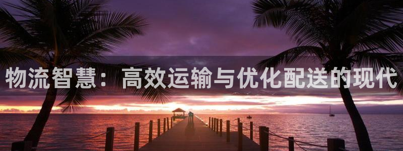 ,优游国际注册上限是啥意思：物流智慧