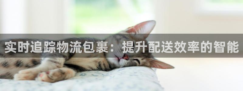 ,优游国际注册步骤：实时追踪物流包裹