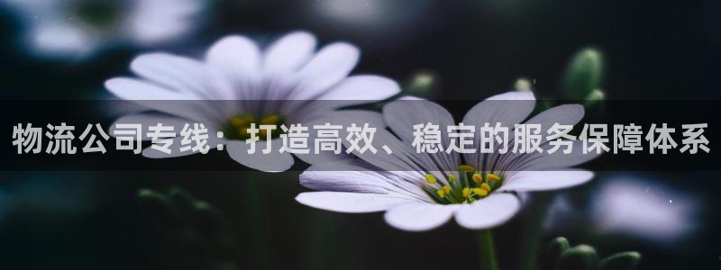 ,优游国际加拿大28