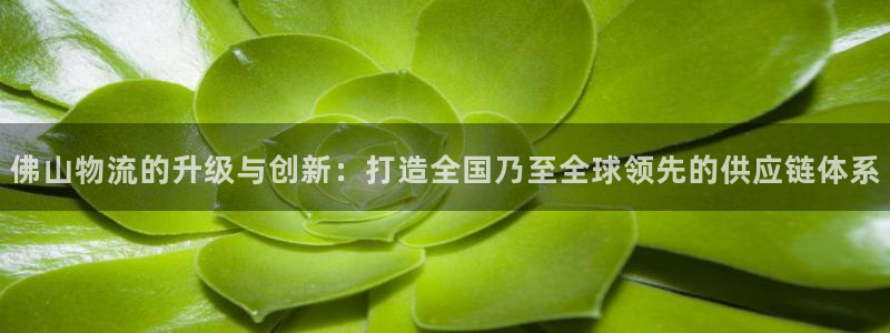 ,优游国际p扣款什么意思：佛山物流的