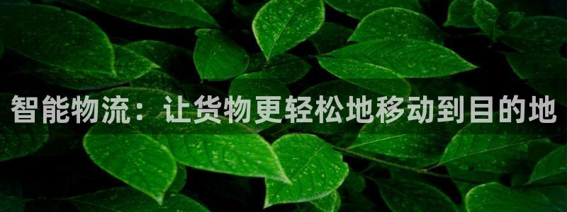 ,优游国际新用户怎么注册：智能物流：