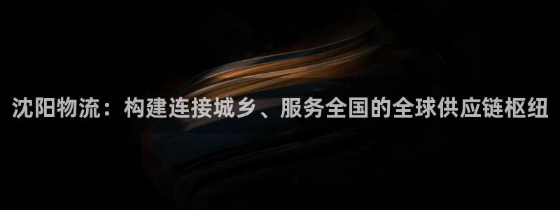 ,优游国际官网多少：沈阳物流：构建连