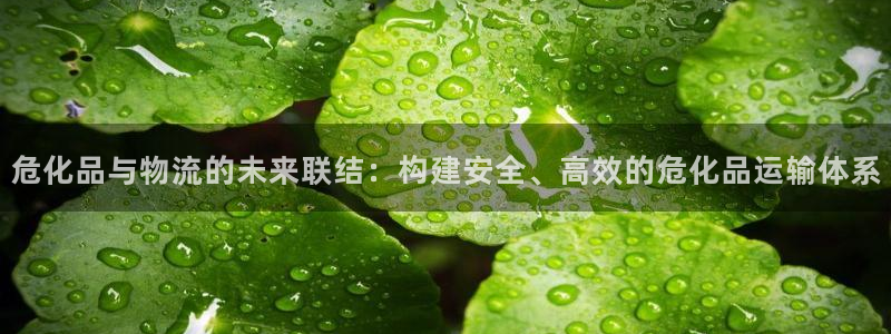 优游国际官网下载链接是什么：危化品与