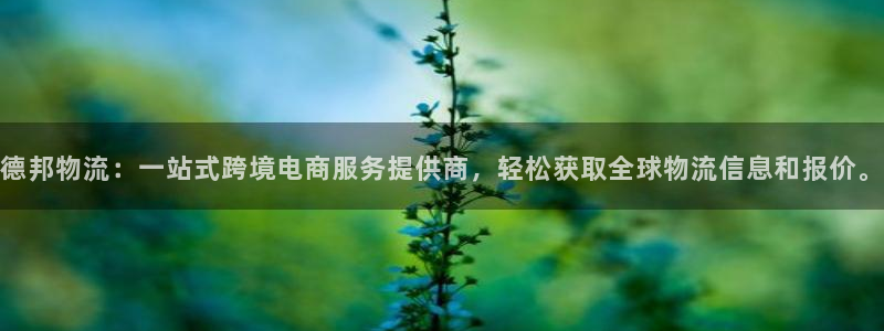 ,优游国际选28ng官网：德邦物流：