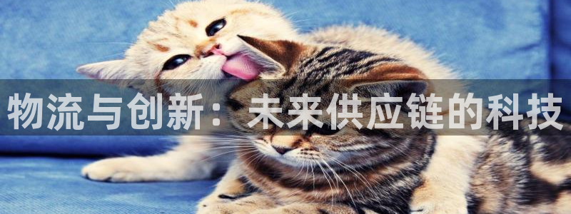 ,优游国际那个才是充值账号：物流与创