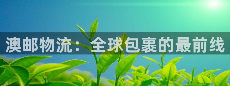 ,优游国际分分28输了能不能退：澳邮