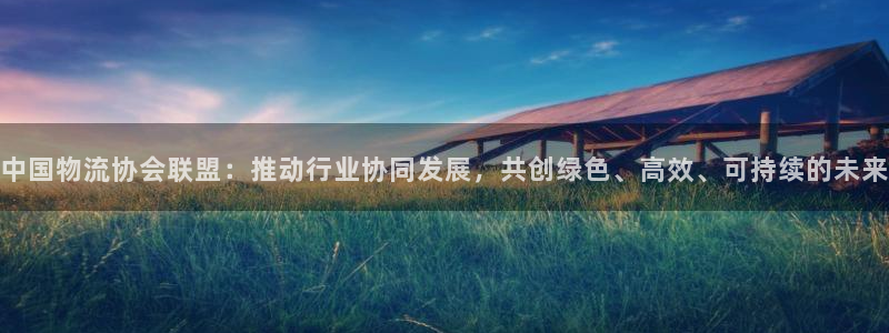 ,优游国际自行车图片大全