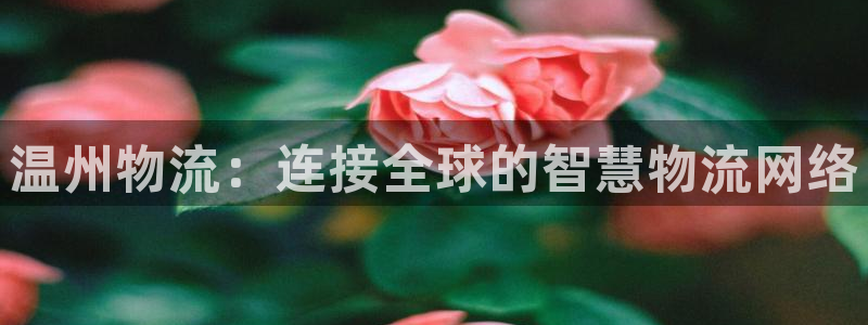 ,优游国际注册用户名是什么：温州物流