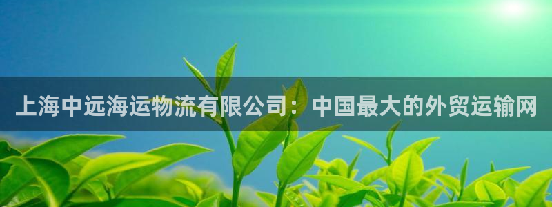 ,优游国际加拿大是什么意思：上海中远