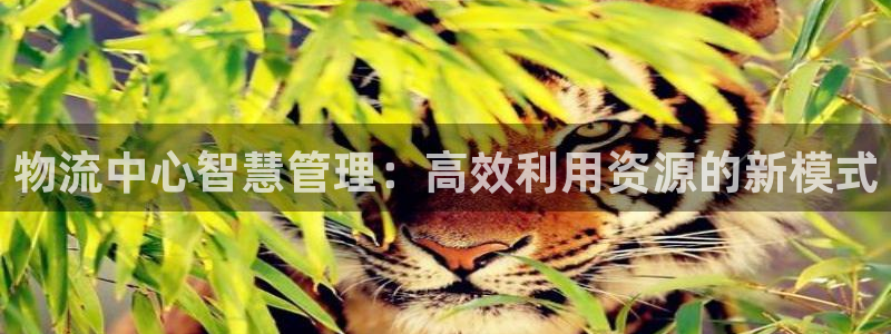 ,优游国际能退款吗：物流中心智慧管理：高效利用资源的新模式