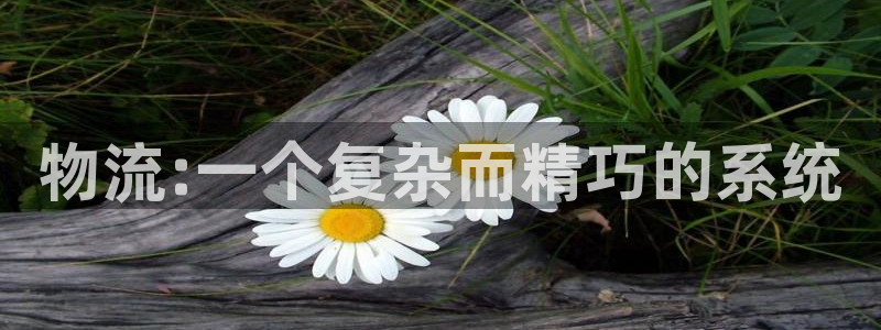 ,优游国际充值不处理怎么办：物流:一个复杂而精巧的系统