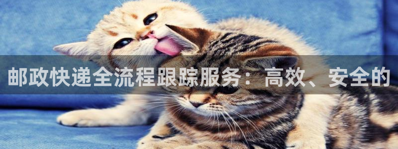 ,优游国际在线预测官网