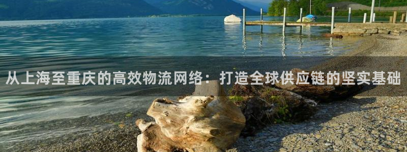 ,优游国际怎么注册账号和密码：从上海