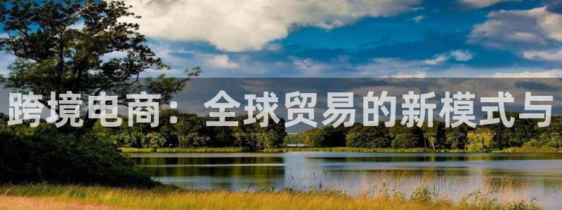 ,优游国际加拿大官网：跨境电商：全球