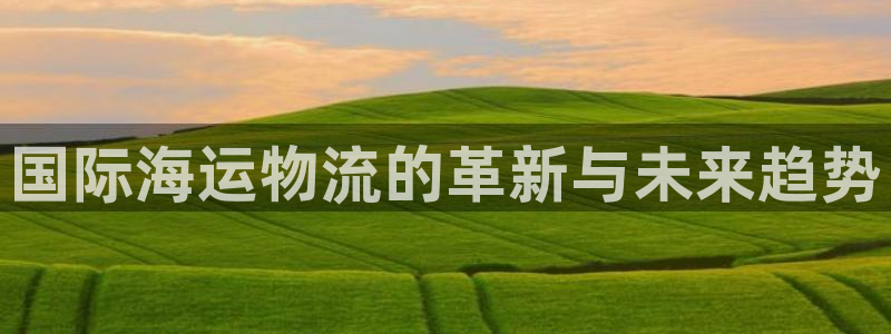 ,优游国际人头费:国际海运物流的革新