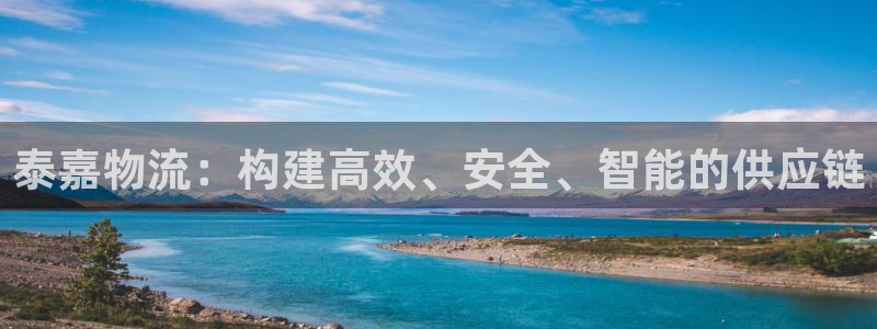 ,优游国际登陆网:泰嘉物流:构建高效