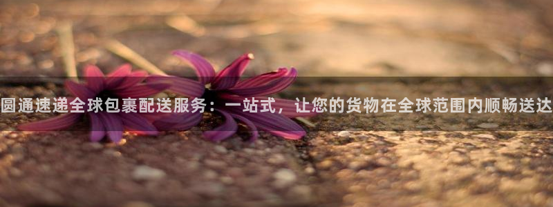,优游国际官方平台:圆通速递全球包裹