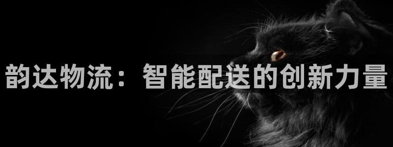 ,优游国际APP是干什么的:韵达物流