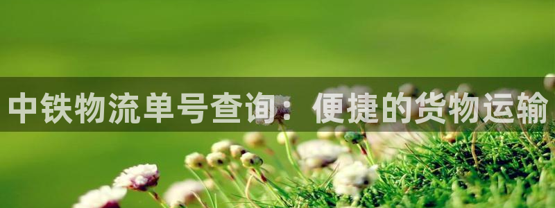 优游国际官网入口pc29官网版