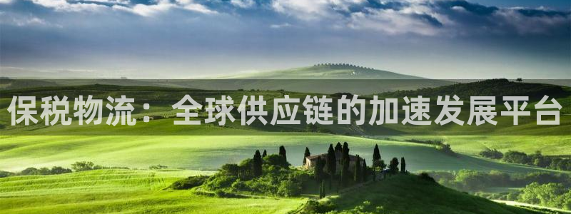 ,优游国际游戏官网版：保税物流：全球供应链的加速发展平台