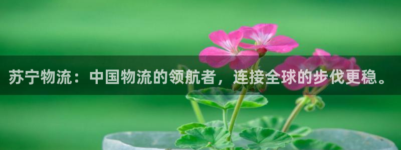 ,优游国际免费：苏宁物流：中国物流的
