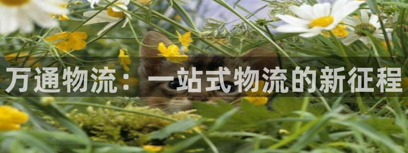 ,优游国际体育下载：万通物流：一站式