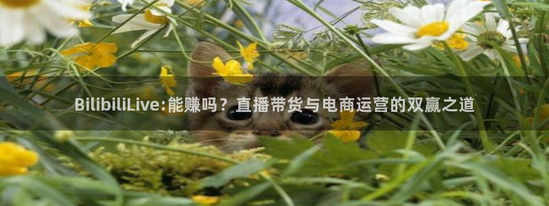 黑白体育nba直播免费观看：BilibiliLive:能赚吗？直播带货与电商运营的双赢之道