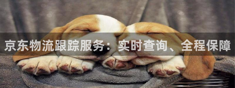 优游国际官网入口app