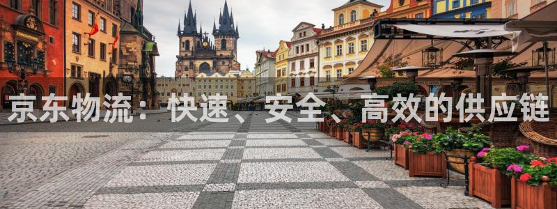 优游国际官网入口app：京东物流：快速、安全、高效的供应链