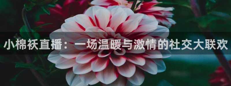 黑白直播免费直播nba：小棉袄直播：一场温暖与激情的社交大联欢