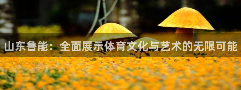 黑白篮球直播免费观看：山东鲁能：全面展示体育文化与艺术的无限可能