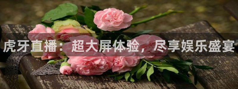 黑白体育nba直播在线观看高清：虎牙直播：超大屏体验，尽享娱乐盛宴