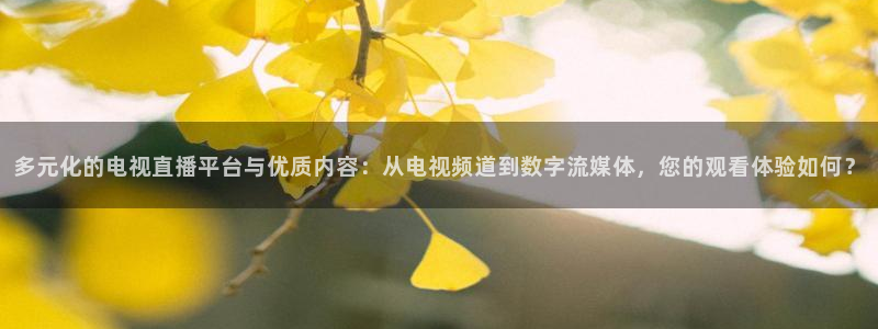 黑白视频nba直播：多元化的电视直播平台与优质内容：从电视频道到数字流媒体，您的观看体验如何？