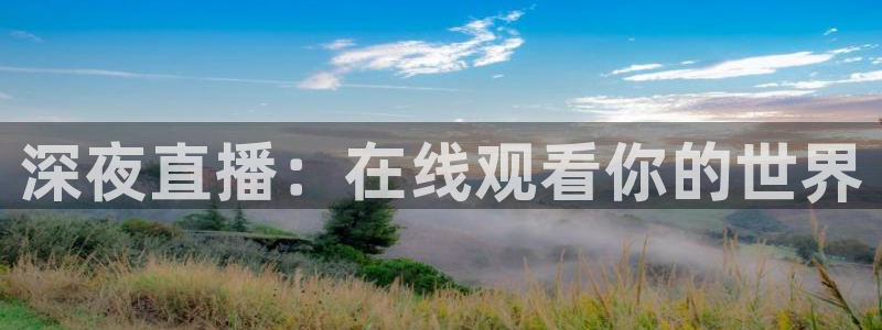 黑白nba体育直播在哪看：深夜直播：在线观看你的世界