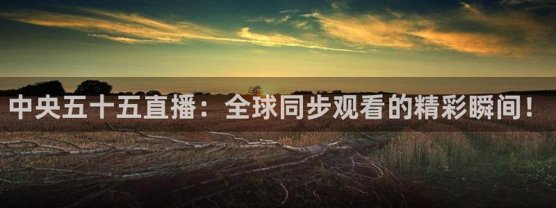 黑白免费体育直播：中央五十五直播：全球同步观看的精彩瞬间！