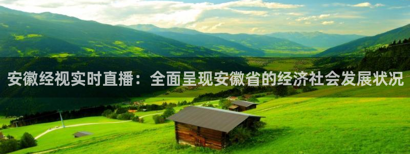 黑白足球直播：安徽经视实时直播：全面呈现安徽省的经济社会发展状况