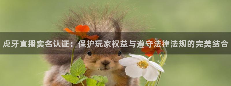 黑白直播足球比赛：虎牙直播实名认证：保护玩家权益与遵守法律法规的完美结合