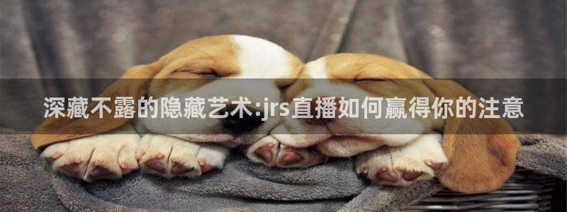 黑白体育篮球nba直播：深藏不露的隐藏艺术:jrs直播如何赢得你的注意