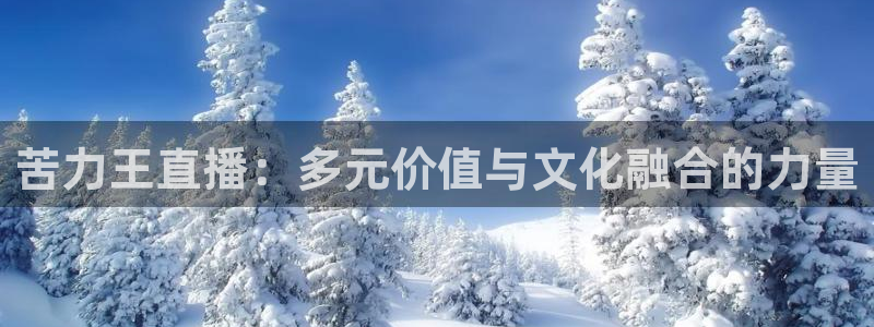 黑白体育直播在线免费观看：苦力王直播：多元价值与文化融合的力量