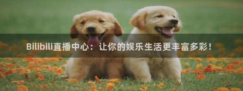 nba免费黑白直播：Bilibili直播中心：让你的娱乐生活更丰富多彩！
