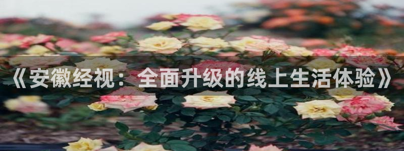 黑白免费体育直播：《安徽经视：全面升级的线上生活体验》